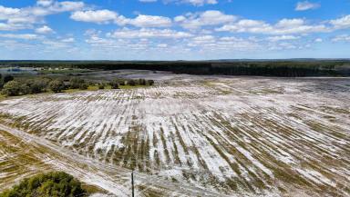 Horticulture For Sale - WA - Mimegarra - 6507 - BROWNFIELD AGRICULTURAL DEVELOPMENT SITE  (Image 2)