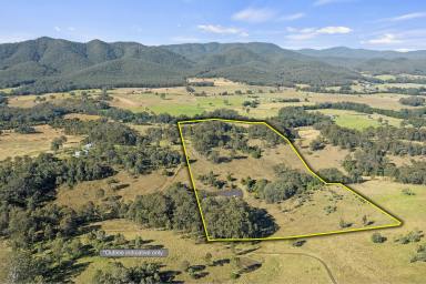 Other (Rural) For Sale - NSW - Stroud - 2425 - Absolute serenity with Valley views!  (Image 2)