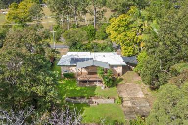 House Auction - QLD - Cooroy - 4563 - Disregard Previous Pricing - Motivated Sellers  (Image 2)