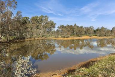 Residential Block For Sale - VIC - Axedale - 3551 - Peaceful location with dam and creek  (Image 2)