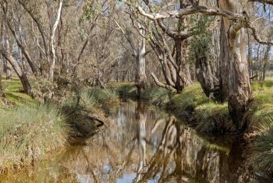 Residential Block For Sale - VIC - Axedale - 3551 - Peaceful location with dam and creek  (Image 2)