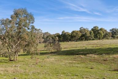 Residential Block For Sale - VIC - Axedale - 3551 - Quiet and undulating allotment  (Image 2)