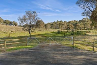 Residential Block For Sale - VIC - Axedale - 3551 - Inviting Entrance to a Beautiful Allotment  (Image 2)