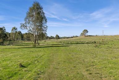 Residential Block For Sale - VIC - Axedale - 3551 - Inviting entrance to a beautiful allotment  (Image 2)