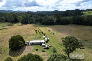 Residential Block For Sale - QLD - Wolvi - 4570 - Rare 36 acre Opportunity!  (Image 2)