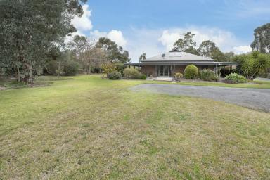 House For Sale - VIC - Swan Hill - 3585 - Peaceful and Private  (Image 2)