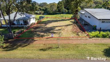 Residential Block For Sale - QLD - Lamb Island - 4184 - Commercial 572m2 Cleared, Flat and Surveyed  (Image 2)