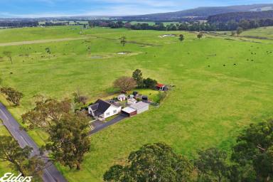 Farmlet For Sale - VIC - Calrossie - 3971 - OLD WORLD CHARM WITH ACREAGE  (Image 2)