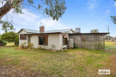 House Sold - VIC - Stawell - 3380 - Your Very Own Lifestyle Hobby Farm  (Image 2)