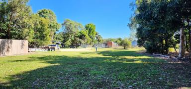 Residential Block For Sale - QLD - Cardwell - 4849 - Industry Vacant Land - with fence on 3 sides, water & power available  (Image 2)