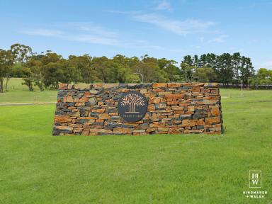 Residential Block For Sale - NSW - Moss Vale - 2577 - Prime Residential Land  (Image 2)