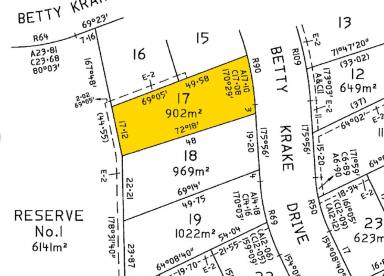 Residential Block Sold - VIC - Red Cliffs - 3496 - VACANT LAND WITH TITLE  (Image 2)