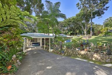 House For Sale - QLD - Kuranda - 4881 - WELL POSITIONED POCKET PLEASER  (Image 2)