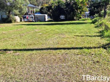 Residential Block For Sale - QLD - Macleay Island - 4184 - Clean and Ready to Go  (Image 2)