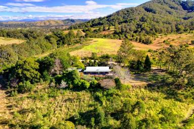 Acreage/Semi-rural Sold - NSW - Belbora - 2422 - Beautiful Belbora Acreage!  (Image 2)