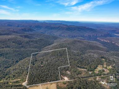 Residential Block For Sale - NSW - Bundanoon - 2578 - 'Eastview'  - Heavenly  (Image 2)