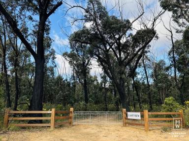 Residential Block For Sale - NSW - Bundanoon - 2578 - 'Eastview'  - Heavenly  (Image 2)