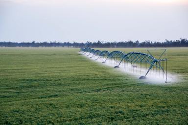 Cropping For Sale - QLD - Toobeah - 4498 - LARGE-SCALE IRRIGATED AND DRYLAND CROPPING  (Image 2)