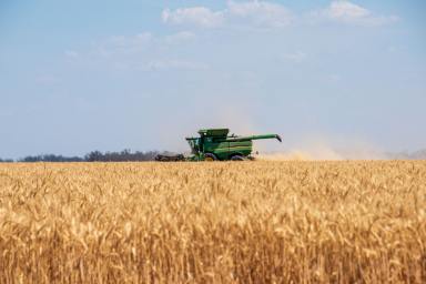 Cropping For Sale - QLD - Toobeah - 4498 - LARGE-SCALE IRRIGATED AND DRYLAND CROPPING  (Image 2)