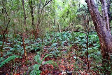 Residential Block Sold - VIC - Don Valley - 3139 - Calling all Nature Enthusiasts!!!  (Image 2)