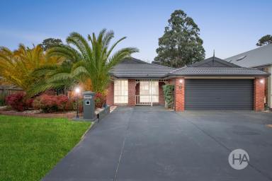 House Sold - VIC - Somerville - 3912 - Entertainer’s oasis with cocktail bar & enclosed alfresco  (Image 2)