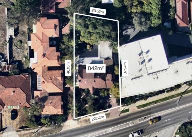 House For Sale - WA - Mount Lawley - 6050 - A PIECE OF HISTORY!  (Image 2)