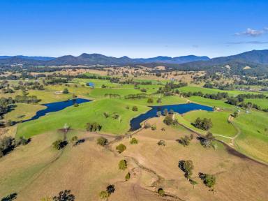 Livestock For Sale - NSW - Buckra Bendinni - 2449 - Highly Sought-After Opportunity  (Image 2)