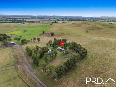 Lifestyle For Sale - NSW - Casino - 2470 - Country Comfort  (Image 2)