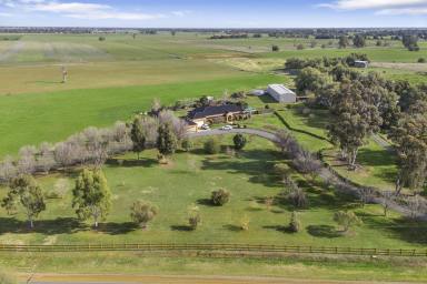 Mixed Farming For Sale - VIC - Rochester - 3561 - SPACIOUS COUNTRY MANOR ON 81 ACRES  (Image 2)