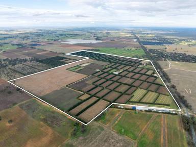 Horticulture For Sale - VIC - Bunbartha - 3634 - SECURLY LEASED KIWIFRUIT INVESTMENT OPPORTUNITY  (Image 2)