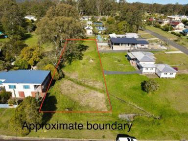 Residential Block For Sale - NSW - Tinonee - 2430 - HUGE BLOCK WITH DUAL ROAD FRONTAGE  (Image 2)