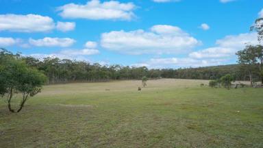Residential Block For Sale - VIC - Beaufort - 3373 - Tranquil 20 Acres with Planning Permit  (Image 2)
