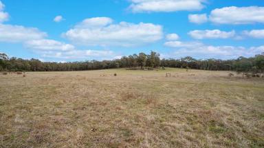 Residential Block For Sale - VIC - Beaufort - 3373 - Tranquil 20 Acres with Planning Permit  (Image 2)