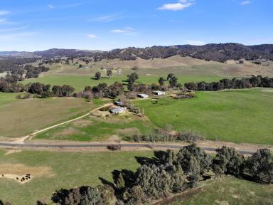 Other (Rural) For Sale - NSW - Tarcutta - 2652 - "Oberne"  (Image 2)