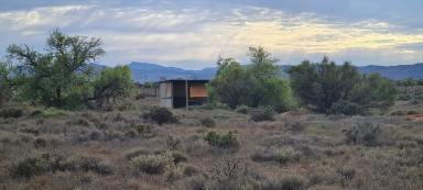 Residential Block For Sale - SA - Stirling North - 5710 - Bore, Shed, Tanks & Views of the Ranges  (Image 2)