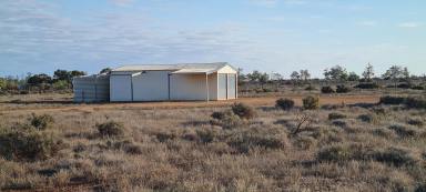 Residential Block For Sale - SA - Stirling North - 5710 - BORE, SHED, TANKS & VIEWS!  (Image 2)