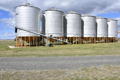 Mixed Farming For Sale - QLD - Formartin - 4404 - "Karinya" Inner Darling Downs Cattle or Cropping Opportunity!  (Image 2)