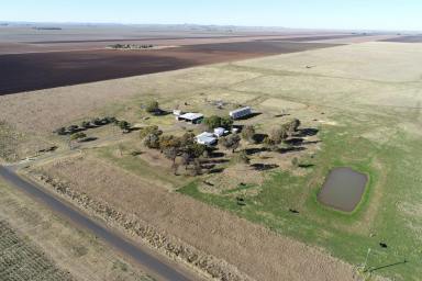 Mixed Farming For Sale - QLD - Formartin - 4404 - "Karinya" Inner Darling Downs Cattle or Cropping Opportunity!  (Image 2)