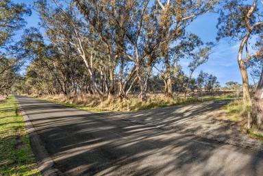 Residential Block For Sale - VIC - Faraday - 3451 - Prime Agricultural and Lifestyle Opportunity in Faraday, Victoria  (Image 2)