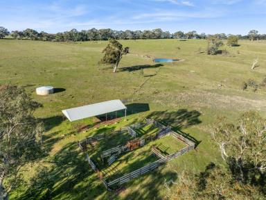Residential Block For Sale - VIC - Faraday - 3451 - Prime Agricultural and Lifestyle Opportunity in Faraday, Victoria  (Image 2)