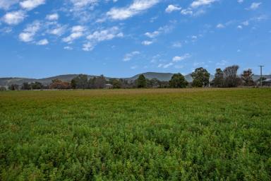 House Sold - NSW - Wellington - 2820 - 9 ACRE LIFESTYLE PROPERTY  (Image 2)