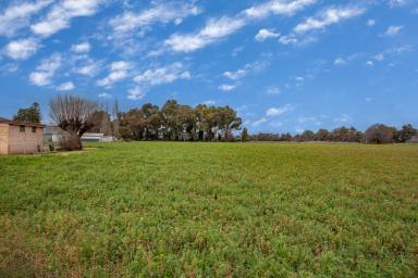 House Sold - NSW - Wellington - 2820 - 9 ACRE LIFESTYLE PROPERTY  (Image 2)