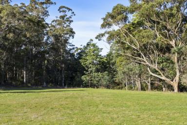 Residential Block For Sale - TAS - Nubeena - 7184 - Prime Land Opportunity: 5.1 Acres of Natural Beauty and a Winter Creek  (Image 2)