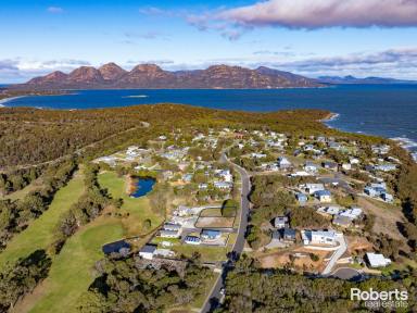 Residential Block For Sale - TAS - Coles Bay - 7215 - Choice of 2 great blocks  (Image 2)