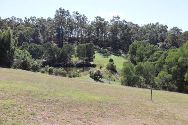 Acreage/Semi-rural For Sale - QLD - Chatsworth - 4570 - PRIVATE AND PERFECT  (Image 2)