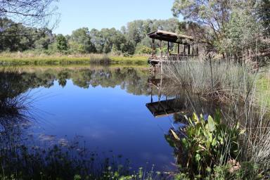 Acreage/Semi-rural For Sale - QLD - Chatsworth - 4570 - PRIVATE AND PERFECT  (Image 2)