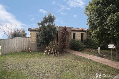 House For Lease - VIC - Cranbourne - 3977 - Well presented 3 bedroom home  (Image 2)