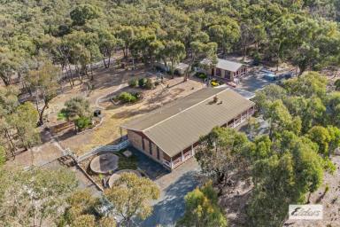 House Sold - VIC - Black Range - 3381 - Ten Glorious Acres  (Image 2)