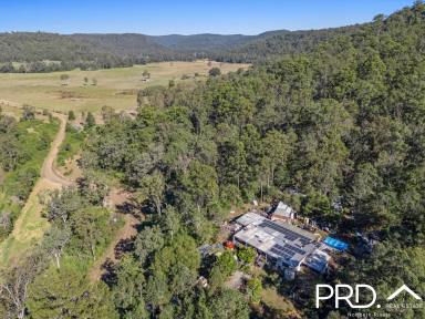 Lifestyle For Sale - NSW - Upper Mongogarie - 2470 - 240+ Acres of Possibilities  (Image 2)