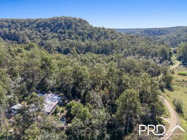 Lifestyle For Sale - NSW - Upper Mongogarie - 2470 - 240+ Acres of Possibilities  (Image 2)